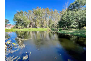 3429 REYNOLDSWOOD DRIVE, TAMPA, FL 33618 Sold 12/27/24