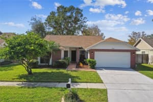 8910 BEELER DRIVE, TAMPA, FL 33626 Sold 03/28/25