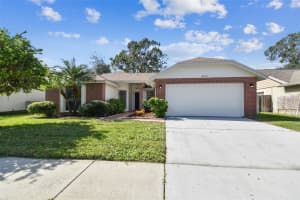8910 BEELER DRIVE, TAMPA, FL 33626 Sold 03/28/25