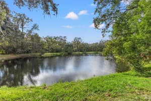 6515 STONINGTON DRIVE, TAMPA, FL 33647 Sold 03/06/25