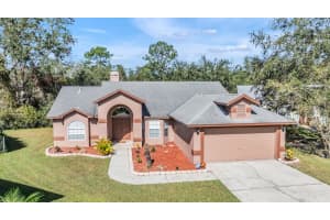 5125 EAGLE ISLAND DRIVE, LAND O LAKES, FL 34639 Sold 01/24/25