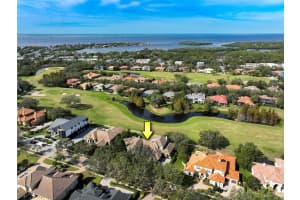 1155 SKYE LANE, PALM HARBOR, FL 34683 Sold 01/31/25