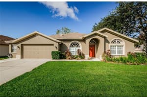 29414 ALLEGRO DRIVE, WESLEY CHAPEL, FL 33543 Sold 05/01/25