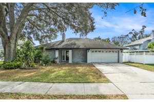 6308 NESTING COURT, TAMPA, FL 33625 Sold 04/03/25
