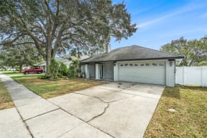 6308 NESTING COURT, TAMPA, FL 33625 Sold 04/03/25