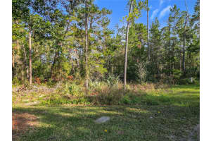 1 OAK VILLAGE BOULEVARD, HOMOSASSA, FL 34446 - MLS#MFRTB8321839