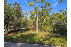 1 OAK VILLAGE BOULEVARD, HOMOSASSA, FL 34446 - MLS#MFRTB8321839