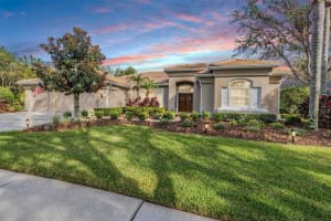 9317 CYPRESS BEND DRIVE, TAMPA, FL 33647 Sold 12/30/24