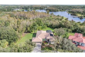 9317 CYPRESS BEND DRIVE, TAMPA, FL 33647 Sold 12/30/24