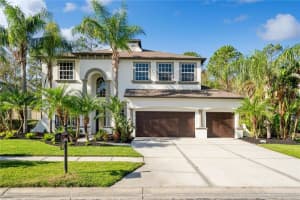 3405 LOGGERHEAD WAY, WESLEY CHAPEL, FL 33543 Sold 05/22/25