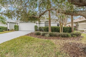 10230 Old Tampa Bay Dr, SAN ANTONIO