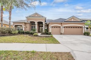 19230 CLIMBING ASTER DRIVE, TAMPA, FL 33647 Sold 02/28/25