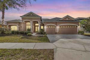 19230 CLIMBING ASTER DRIVE, TAMPA, FL 33647 Sold 02/28/25