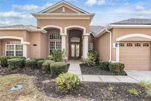 19230 CLIMBING ASTER DRIVE, TAMPA, FL 33647 Sold 02/28/25