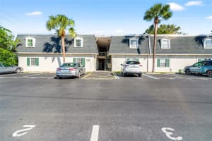 4335 AEGEAN DRIVE, TAMPA, FL 33611 Sold 04/09/25