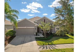 10446 FLAGSTAFF FALLS AVENUE, RIVERVIEW, FL 33578 Sold 01/30/25