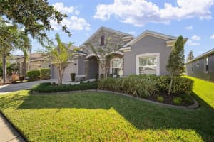 10446 FLAGSTAFF FALLS AVENUE, RIVERVIEW, FL 33578 Sold 01/30/25