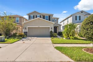 10721 SOUTHERN FOREST DRIVE, RIVERVIEW, FL 33578 Sold 02/21/25