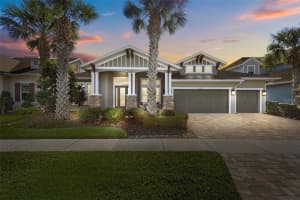 16766 COURTYARD LOOP, LAND O LAKES, FL 34638 Sold 03/31/25