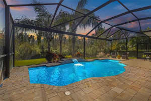 16766 COURTYARD LOOP, LAND O LAKES, FL 34638 Sold 03/31/25