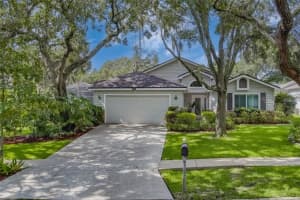 3594 DEER RUN, PALM HARBOR, FL 34684 Sold 03/13/25
