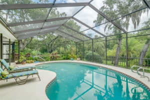 3594 DEER RUN, PALM HARBOR, FL 34684 Sold 03/13/25