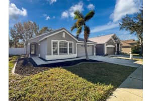 12623 BRAMFIELD DRIVE, RIVERVIEW, FL 33579 Sold 02/13/25