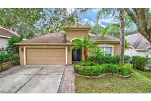 1139 EMERALD HILL WAY, VALRICO, FL 33594 Sold 01/30/25