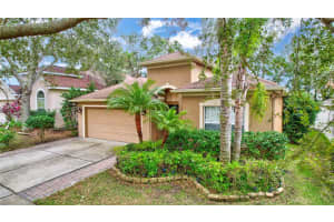 1139 EMERALD HILL WAY, VALRICO, FL 33594 Sold 01/30/25