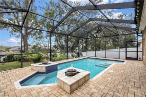 1139 EMERALD HILL WAY, VALRICO, FL 33594 Sold 01/30/25