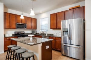 5207 SANDERLING RIDGE DRIVE, LITHIA, FL 33547 Sold 05/23/25