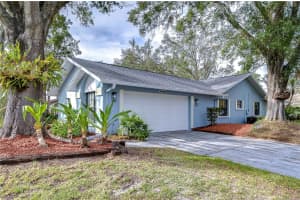 4608 GLENSIDE CIRCLE, TAMPA, FL 33624 Sold 01/17/25