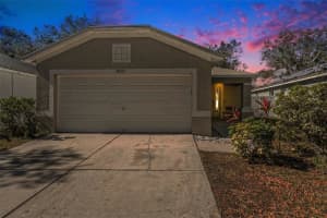 18172 CANAL POINTE STREET, TAMPA, FL 33647 Sold 01/13/25