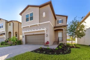 7705 SHAMROCK ROAD, TAMPA, FL 33616 Sold 12/19/24