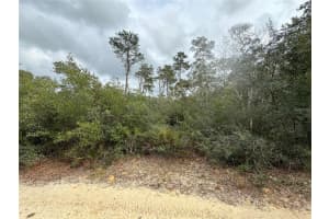 TBD 155TH COURT, FORT MC COY, FL 32134 Sold 12/11/24