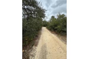 TBD 155TH COURT, FORT MC COY, FL 32134 Sold 12/11/24