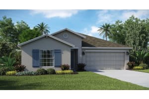 1006 PEACH CREEK DRIVE, OSTEEN, FL 32764 Sold 02/28/25