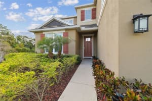 8002 MARBELLA CREEK AVENUE, TAMPA, FL 33625 Sold 04/03/25