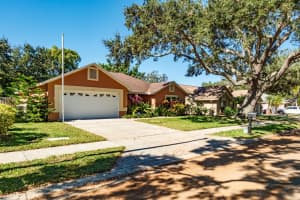 3004 WINDRIDGE OAKS DRIVE, PALM HARBOR, FL 34684 Sold 02/07/25