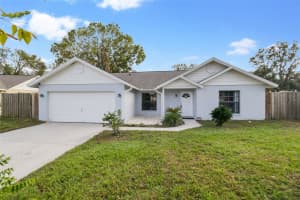 39588 MEADOWOOD LOOP, ZEPHYRHILLS, FL 33542 Sold 12/30/24