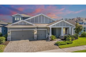 4492 TUNER BND, LAND O LAKES, FL 34638 Sold 03/31/25