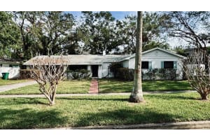 637 Jamaica Ave, TAMPA