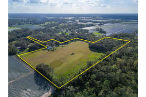 5030 SYDNEY ROAD, PLANT CITY, FL 33566 - MLS#MFRTB8322808