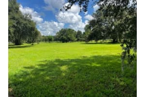 17479 SQUIRREL PRAIRIE ROAD, BROOKSVILLE, FL 34604 Sold 03/21/25