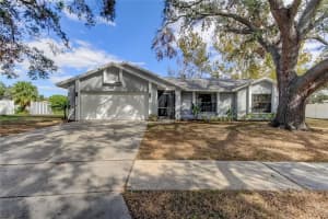 10446 TARA DR, RIVERVIEW, FL 33578 Sold 04/09/25