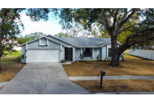 10446 TARA DR, RIVERVIEW, FL 33578 Sold 04/09/25