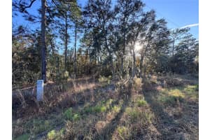 TBT SW 91ST LN, DUNNELLON, FL 34432 - MLS#MFRTB8323039