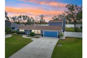 423 COUNTY LINE ROAD, LUTZ, FL 33549 Sold 02/10/25