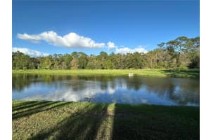 2638 GOLDEN ANTLER LANE, LUTZ, FL 33559 Sold 02/24/25