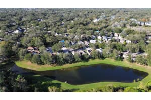 2638 GOLDEN ANTLER LANE, LUTZ, FL 33559 Sold 02/24/25